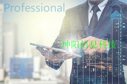 坤陽(yáng)IT外包_專(zhuān)業(yè)版